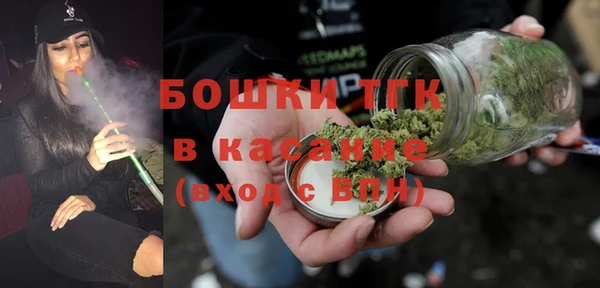 молекула духа Покров